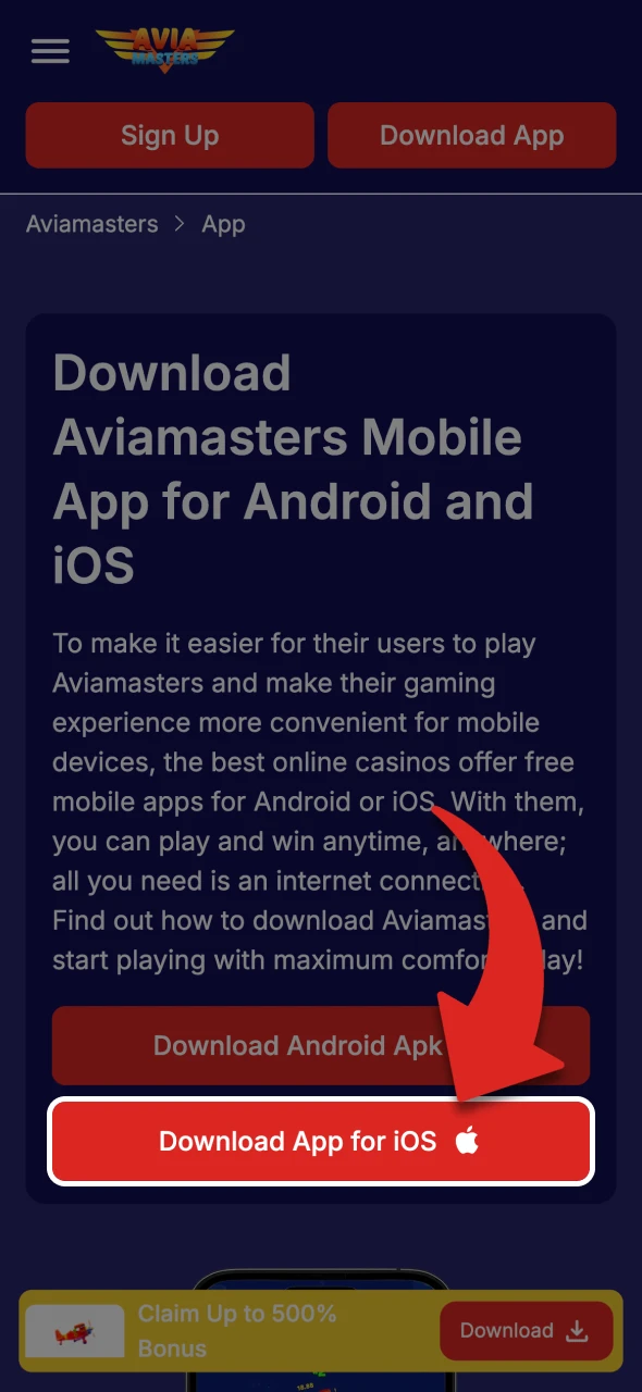 Visit the casino where you will bet on Aviamasters.