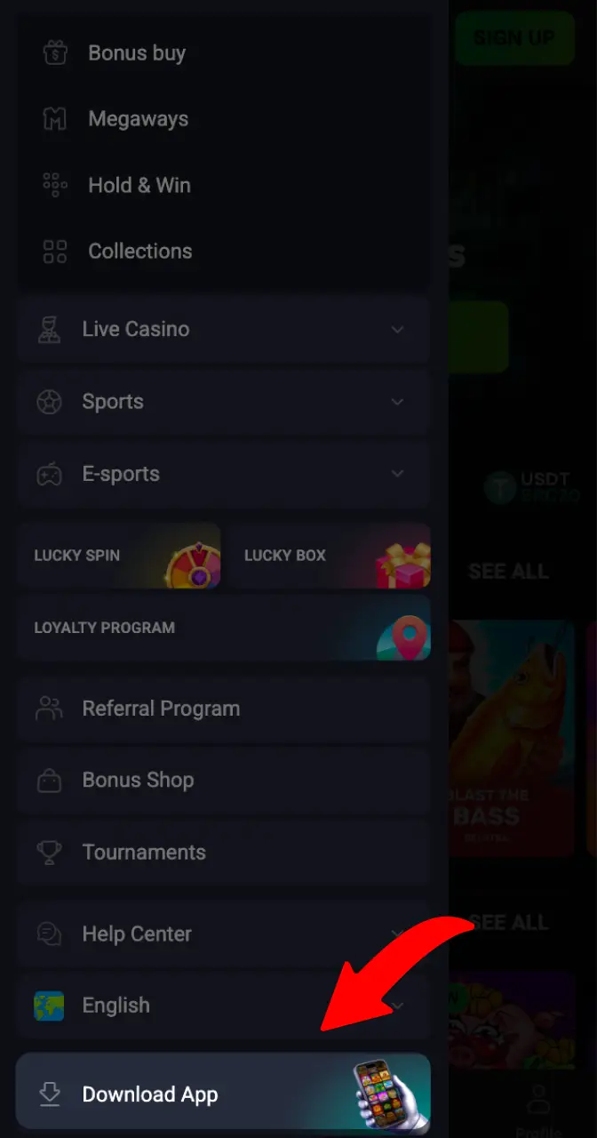 Proceed to download the application on the casino website.